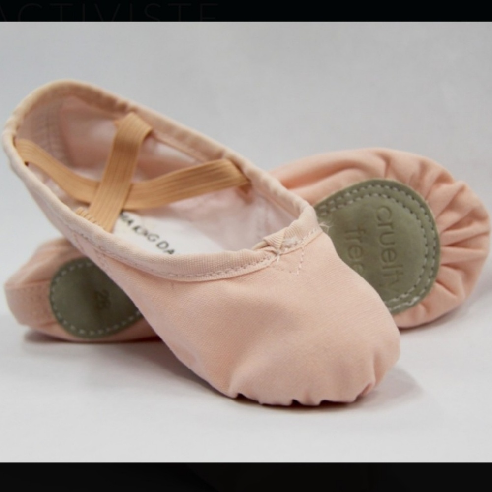 Ballet dance slippers.